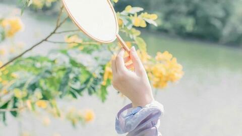 Chúng ta luôn là những kẻ theo đuổi giấc mơ