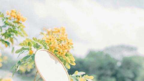 Chúng ta luôn là những kẻ theo đuổi giấc mơ
