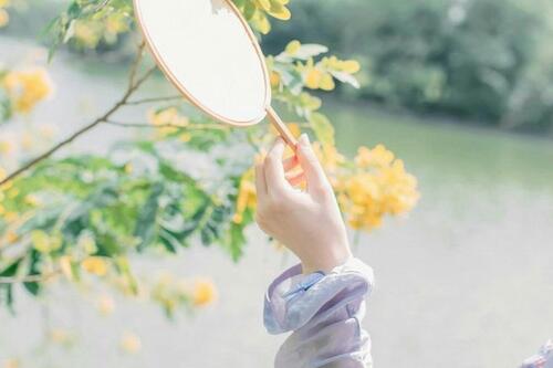 Chúng ta luôn là những kẻ theo đuổi giấc mơ